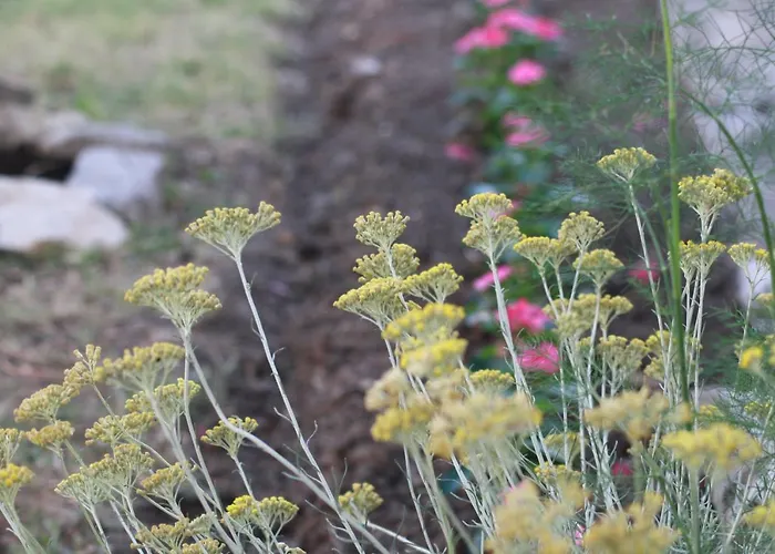 Vahovec Appartamento